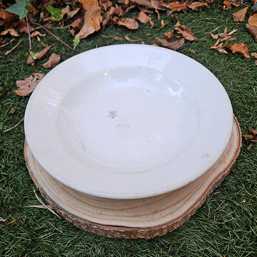 WWII Wehrmacht Porcelain Plate - 1937 - Image 3